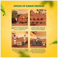 Dabur Meshwak Pure Miswak Extract Toothpaste  - 100g