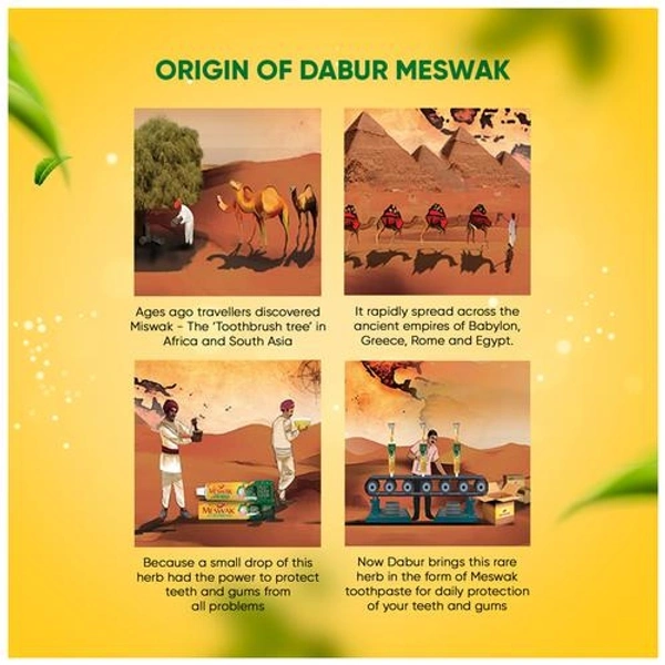 Dabur Meshwak Pure Miswak Extract Toothpaste  - 100g
