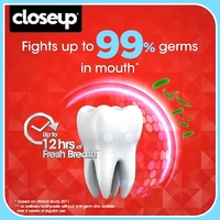 Closeup Everfresh Toothpaste  - 150g