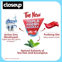 Closeup Everfresh Toothpaste  - 150g