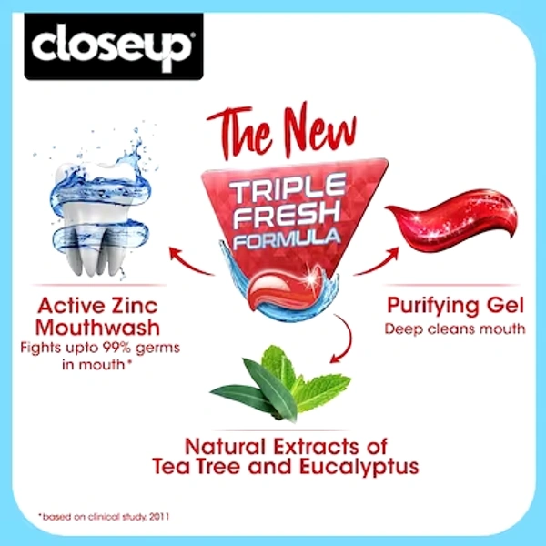 Closeup Everfresh Toothpaste  - 20Rs