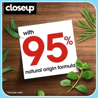 Closeup Everfresh Toothpaste  - 300g