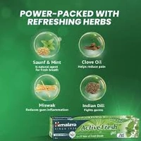 Himayala Active Fresh Gel Toothpaste  - 80g