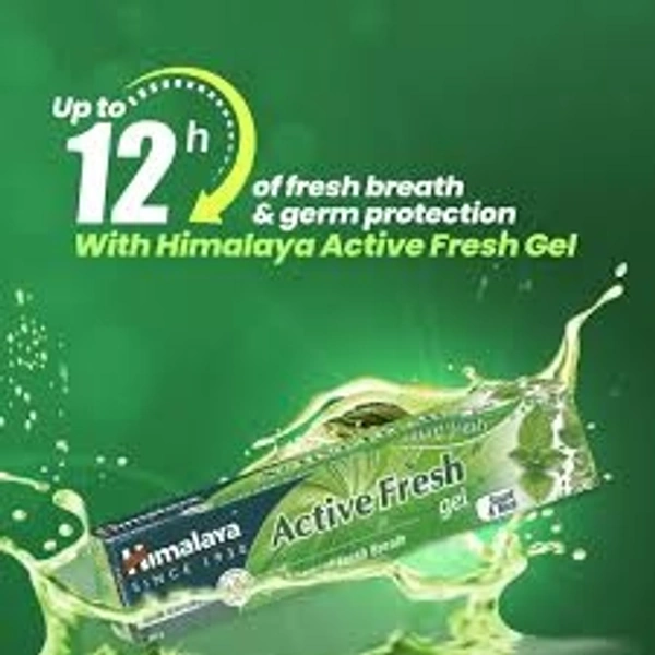 Himayala Active Fresh Gel Toothpaste  - 80g