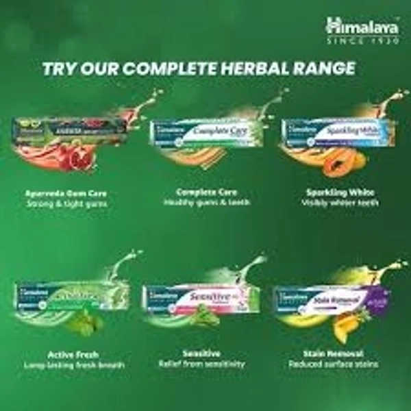 Himalaya Complete Care Toothpaste  - 40g