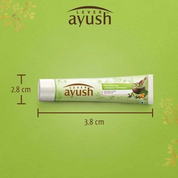 AYUSH FRESH GEL80G - 80g