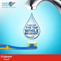 Colgate Zig Zag Charcoal (3 Toothbrush)