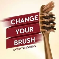 Oral-B Shiny Clean Clove Toothbrush 