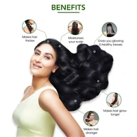 Dabur Amla Hair Oil - 10rs