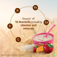 Nestle Cerelac Baby Cereal with Milk , Wheat - Rice Mixed Fruit , From 10 to 24 Months , Stage 3, Source of Iron & Protein - 300g