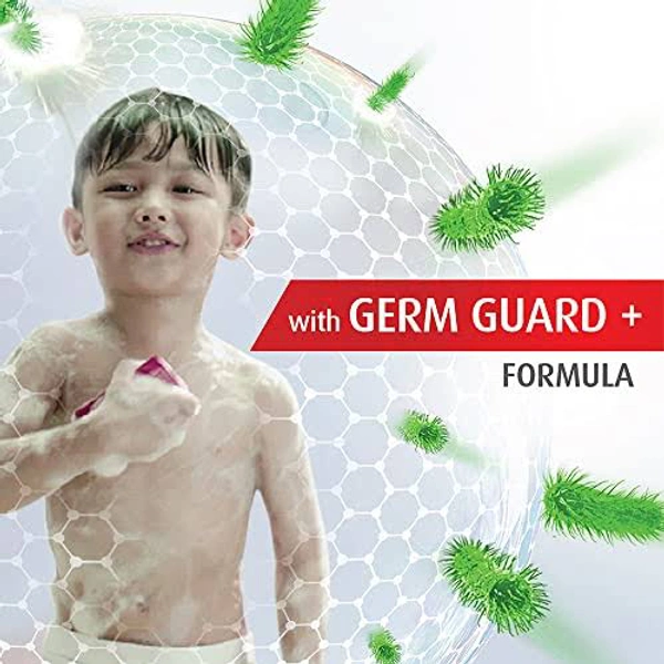 Lifebuoy With Neem & Aloe | Germ Guard Soap - 125g