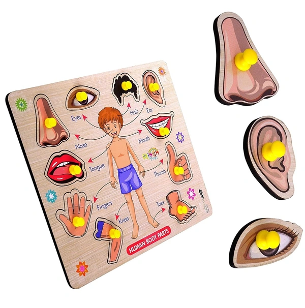 Body Part Puzzle Kids Wooden Toys for Kids 3 + Jigsaw Puzzles for Adults Baby Learning Toys Educational Toys for 2 Board Game - 20x20x5