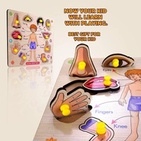 Body Part Puzzle Kids Wooden Toys for Kids 3 + Jigsaw Puzzles for Adults Baby Learning Toys Educational Toys for 2 Board Game - 20x20x5
