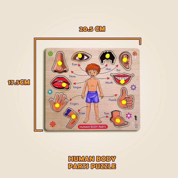 Body Part Puzzle Kids Wooden Toys for Kids 3 + Jigsaw Puzzles for Adults Baby Learning Toys Educational Toys for 2 Board Game - 20x20x5