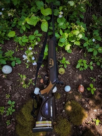 DAWS Air Rifle