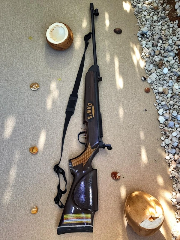 DAWS Air Rifle