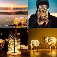 Cork Fairy Light