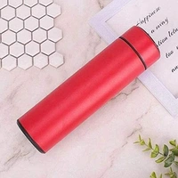 Generic TEMPERATURE BOTTLE 
