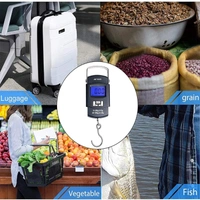 WEILHING Digital Hanging Stainless Steel Hook Luggage Portable Scale with LCD Display for Home, Outdoor, Industrial, Factory Use Capacity 50Kg