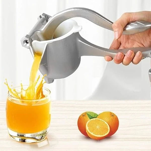 FRUIT PRESS JUICER