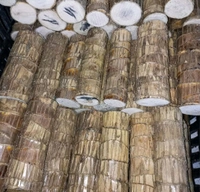 Imported brazilian Lucky Wood Live Stick ( Without Glass ) Pack of 1 BUY 1 GET 1 FREE