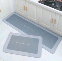 VINAYAK  Water Absorption MAT 1 BIG 1 SMALL MAT