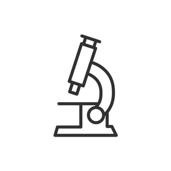 Urine Routine And Microscopy 