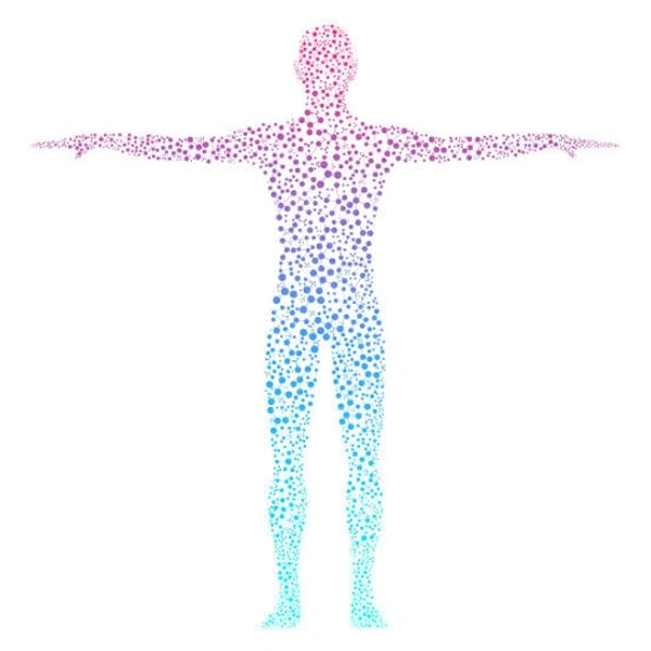 Amino Acid Profile 