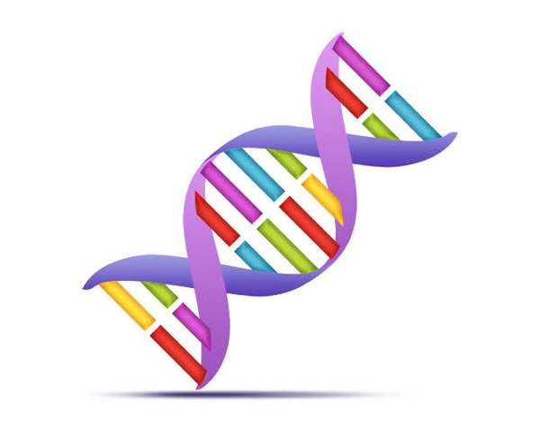 Carcino Embryonic Antigen (CEA)
