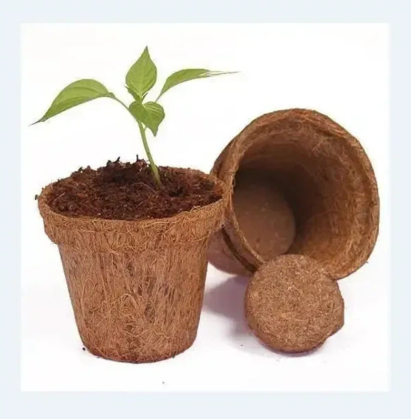 Biodegradable Coir seeding cup- set of 5 Pieces  (Round) , 2 Inch