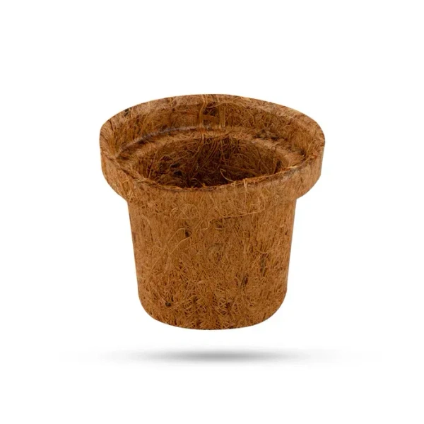 Biodegradable Coir seeding cup- set of 5 Pieces  (Round) , 2 Inch - 