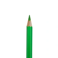  Camlin  Color Pencils 12 shades