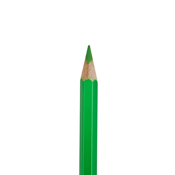  Camlin  Color Pencils 12 shades