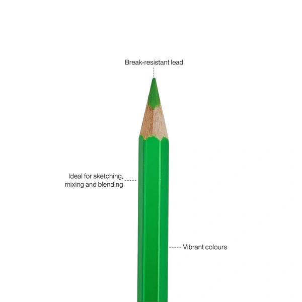  Camlin  Color Pencils 12 shades