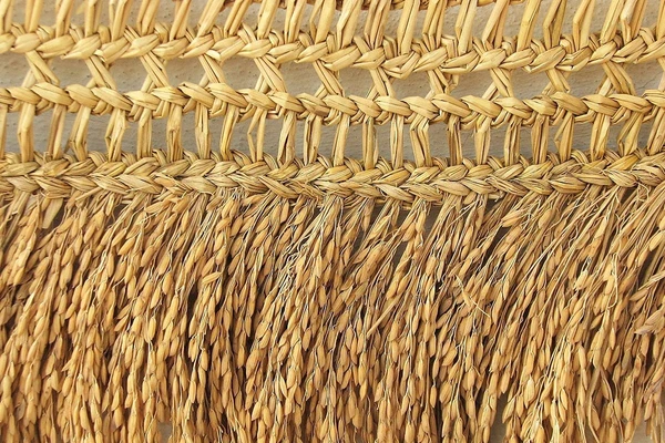 Natural Golden Colour Paddy Door Toranan 3-3.5 feet  ( 1 Paddy Torana Length ~92 cm - 3.5 Feet