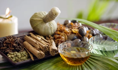 Ayurvedic Wellness