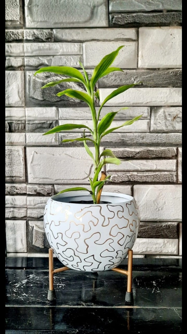 White Gold Lines Round 15cm Iron Planters, For Decoration