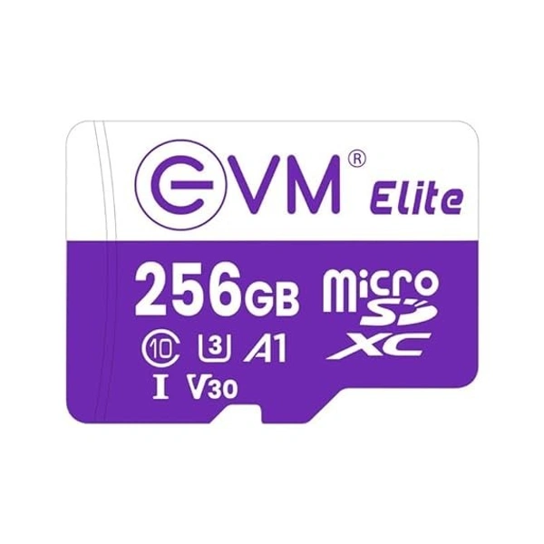 EVM SD CARD 256 GB