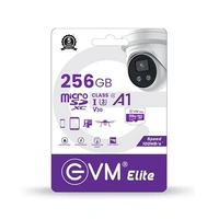 EVM SD CARD 256 GB