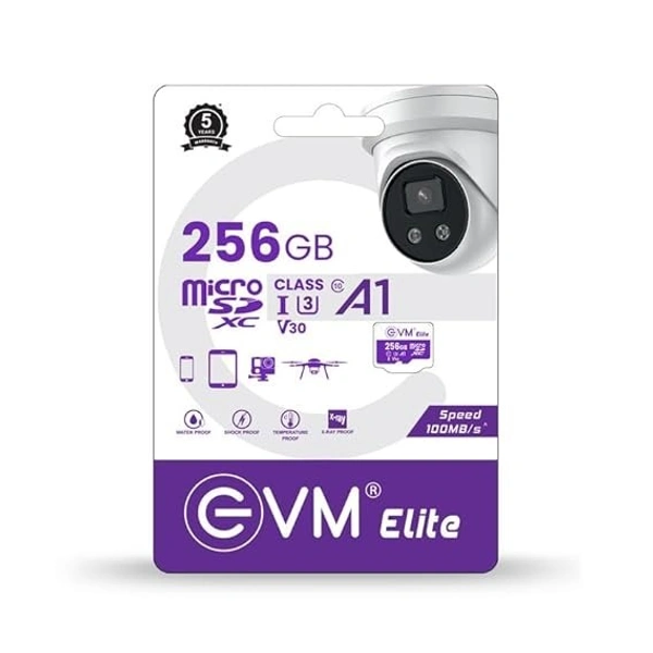 EVM SD CARD 256 GB