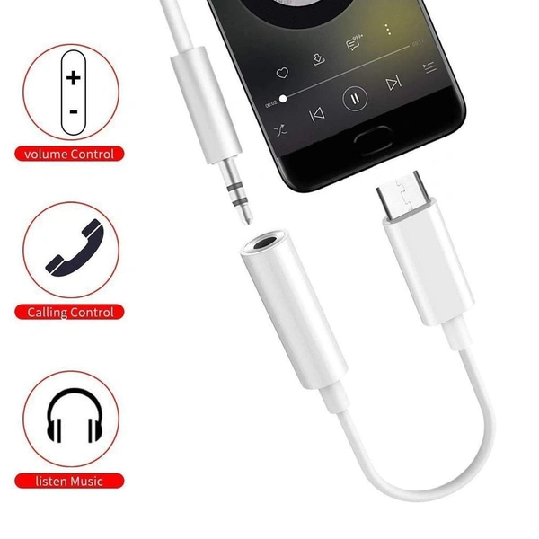 LANDMARK TYPE C HEADPHONE JACK