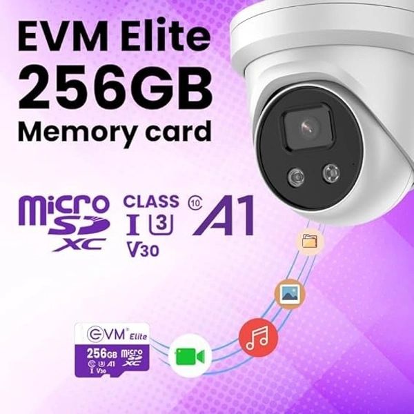 EVM SD CARD 256 GB