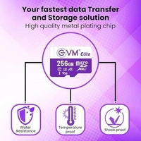 EVM SD CARD 256 GB