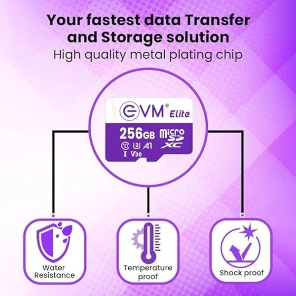 EVM SD CARD 256 GB