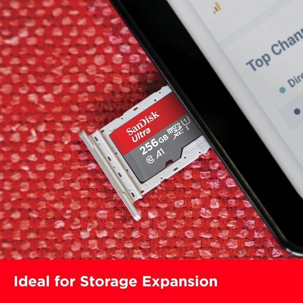 SANDISK 256 GB MEMORY CARD