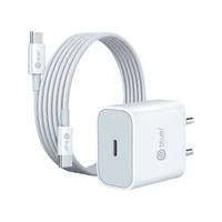 BLUEI 33 w CHARGER