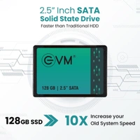 EVM SATA 2.5 128 GB