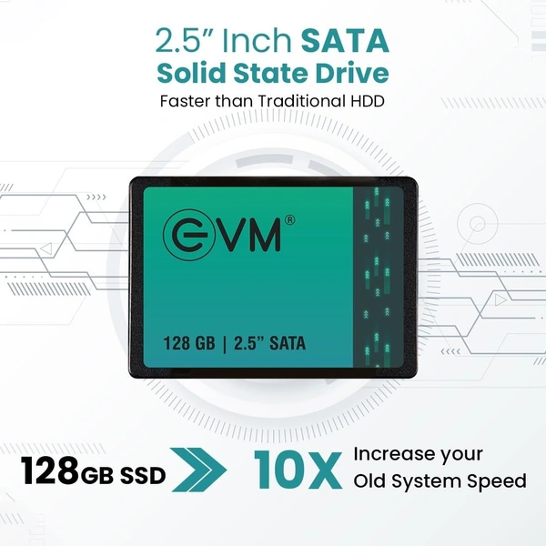 EVM SATA 2.5 128 GB