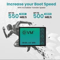 EVM SATA 2.5 128 GB