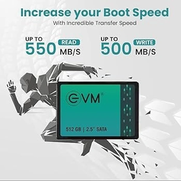 EVM 512 SSD SATA 2.5